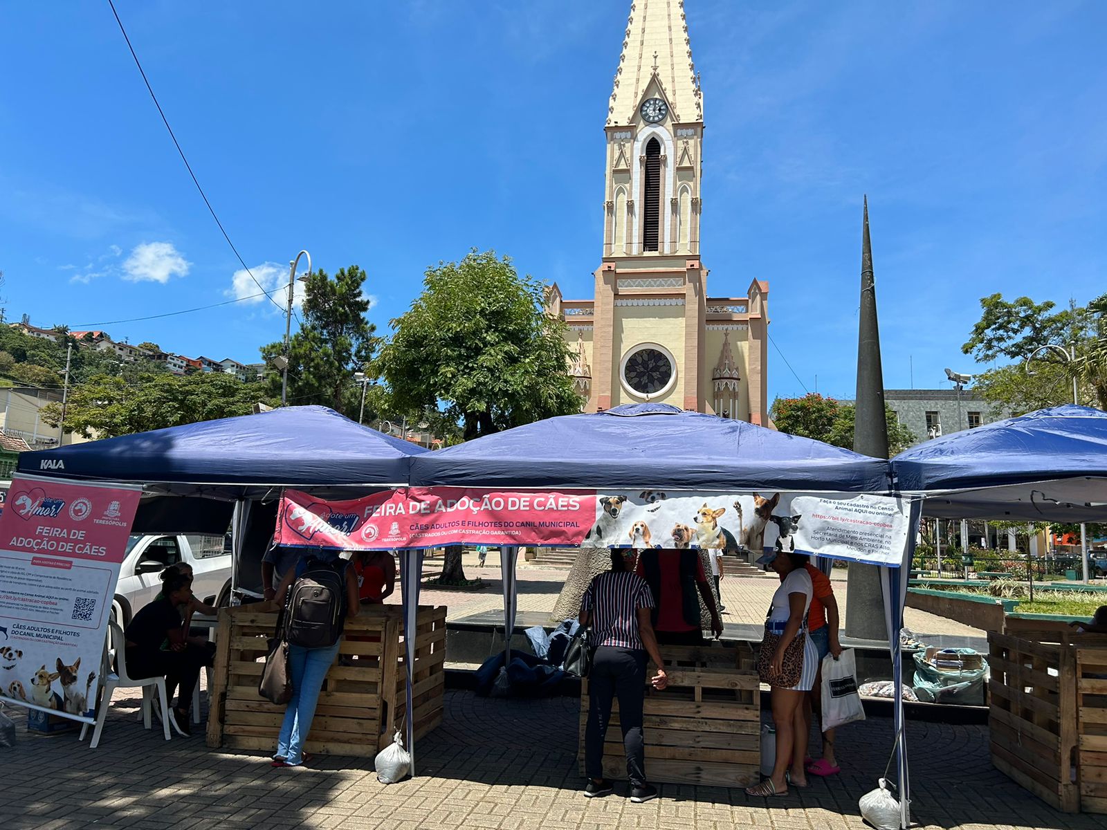 Feira De Ado O De C Es Da Copbea Acontece Neste S Bado Na Pra A Santa