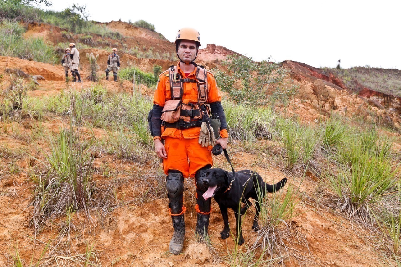 Bombeiros são capacitados pelo Ministério da Justiça para atuar com cães em  desastres naturais
