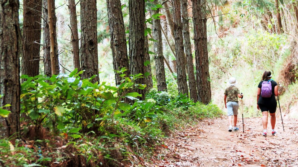 Travessia Frades x Salinas, um caminho para se apaixonar pelos Três Picos -  O Diário de Teresópolis