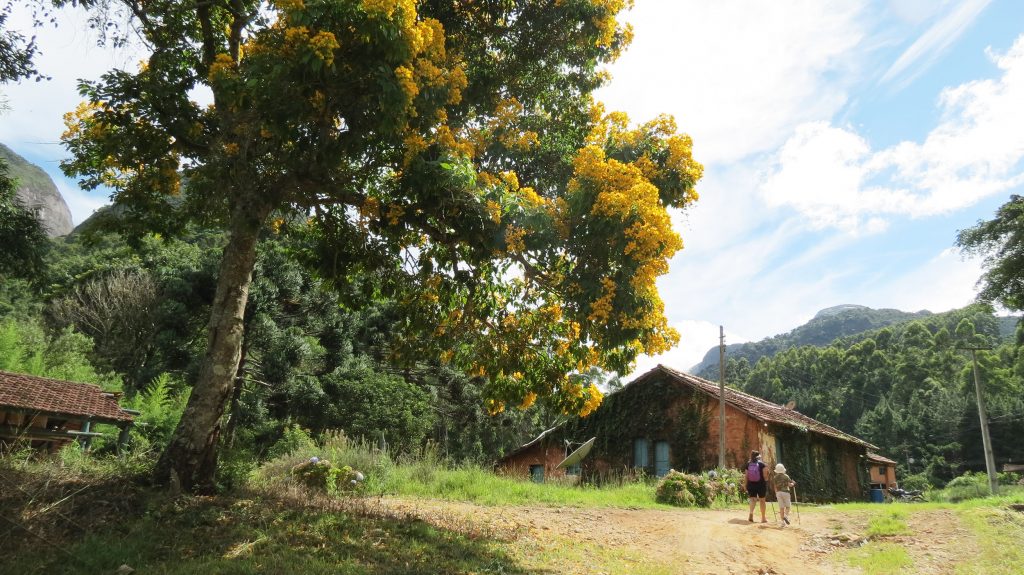 pedidos online: - Ponto Xis Teresópolis