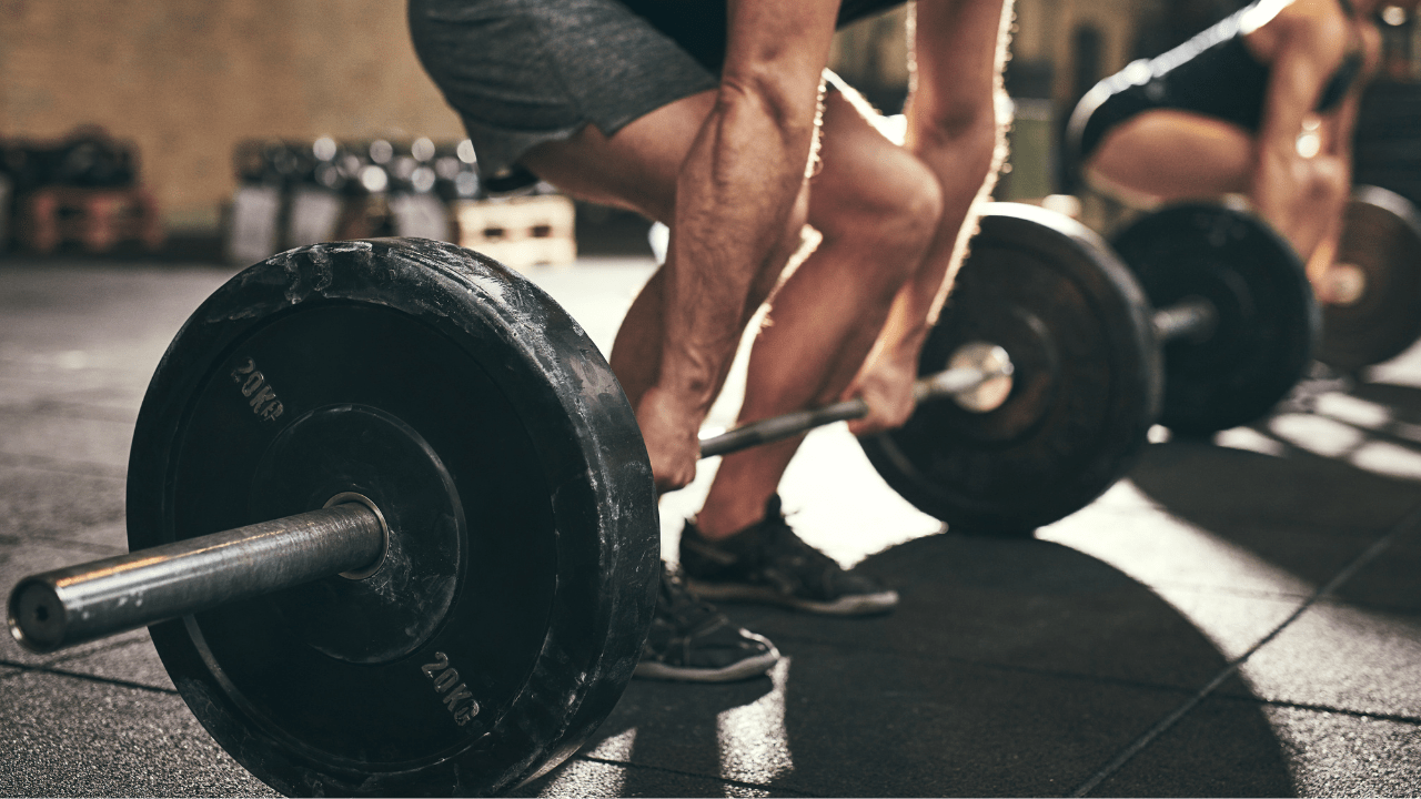 スポーツ・フィットネス Do you love DEADLIFT? DVD スポーツ・フィットネス Do you love DEADLIFT? DVD